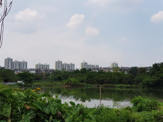 Những quyết định thần tốc “giúp Ecopark đánh úp” nông dân Văn Giang