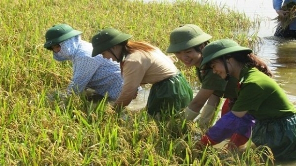 “Khát vọng Việt Nam” khi tụt hậu không còn là “nguy cơ”
