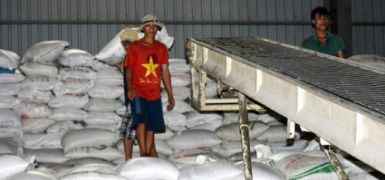 Lựa lúc miền Tây hạn mặn, mất mùa, Trung Quốc bất ngờ tăng mua gạo Việt Nam